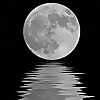 Moon Water Tarot