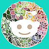 Reddit - Succulent Plants