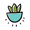 Succulents and Sunshine