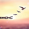 Chicago Criminal Defense Lawyers Blog | The Legal Defenders
