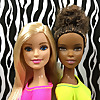 Barbie Ailesi