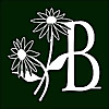 Barlow's | Houseplants