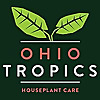 Ohio Tropics Houseplant