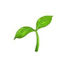 Greengrow