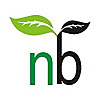 NatureBring | House plants