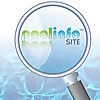 Express Pool Care - Pool Service Phoenix AZ