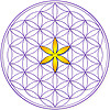 University of Metaphysical Sciences