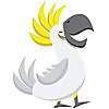 Bobatoo | Insurance Blog