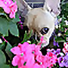 Fayme French Bulldogs