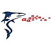 AlphaShark Trading
