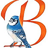 Backyard Birdlady
