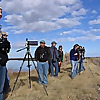Laramie Audubon | Wyoming Bird Blog