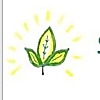 Mystical Magical Herbs