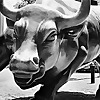 Day trading forex live sterling