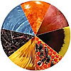 Temperate Climate Permaculture Blog