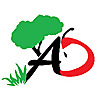 Abundant Design