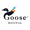 Goose Digital