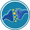 Hormones Demystified