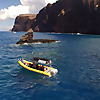 Ultimate Whale Watch & Maui Snorkeling