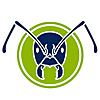 The Ant Network