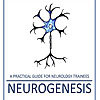 Neurogenesis: a practical guide for neurology trainees
