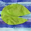 Tales from the Lily Pad